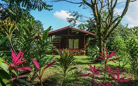 Hotel Faro Arenal